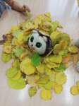 img20201113wa0011_small.jpg