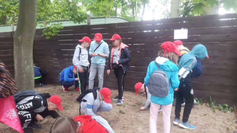 _190050.jpg