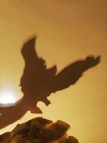 img20201201wa0007.jpg