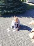 img20200922wa0032_small.jpg