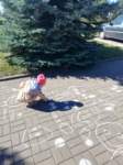 img20200922wa0033_small.jpg