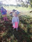 img20201001wa0014_small.jpg