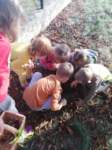 img20201001wa0020_small.jpg