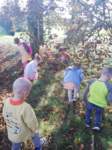 img20201001wa0023_small.jpg