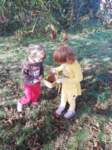 img20201001wa0026_small.jpg