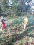 img20201001wa0027_small.jpg