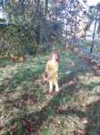 img20201001wa0028_small.jpg