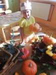 img20201001wa0030_small.jpg
