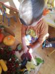 img20201001wa0046_small.jpg