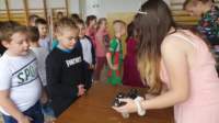 img20221124wa0033_small.jpg
