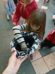 img20230217wa0065_small.jpg