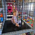 img20230518wa0030_small.jpg