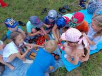 img20230621wa0043_small.jpg