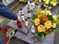 img20221031wa0094_small.jpg