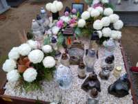 img20221031wa0096_small.jpg