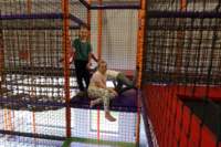 img_0482_small.jpg