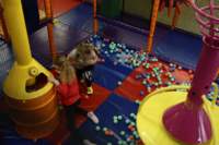 img_0489_small.jpg