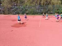 img20230616wa0013_small.jpg