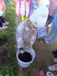 img20231010wa0092_small.jpg