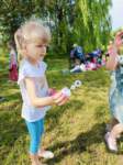 img20240619wa0028_small.jpg