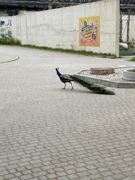 messenger_creation_8a10fdad10f94b66b2dcdc60b3c3a9a2.jpg