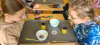 img20250314wa0049_small.jpg