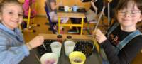 img20250314wa0060_small.jpg