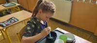 img20250314wa0062_small.jpg