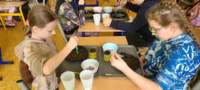 img20250314wa0063_small.jpg