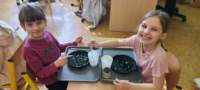 img20250314wa0064_small.jpg