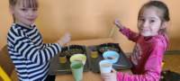 img20250314wa0066_small.jpg