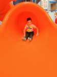 img20250401wa0046_small.jpg