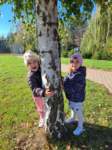img20241011wa0037_small.jpg