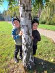 img20241011wa0054_small.jpg