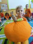 img20241030wa0008_small.jpg