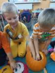 img20241030wa0031_small.jpg