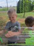 img20250605wa0007_small.jpg