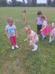 img20250605wa0013_small.jpg