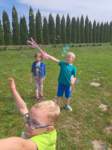 img20250605wa0049_small.jpg