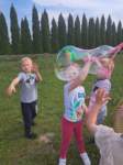 img20250605wa0052_small.jpg