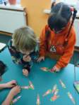 img20250409wa0061_small.jpg