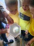 img20250527wa0009_small.jpg