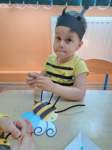 img20250527wa0020_small.jpg