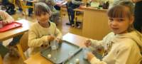 img20250529wa0000_small.jpg