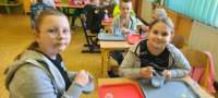 img20250529wa0010_small.jpg