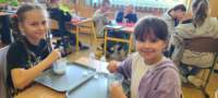 img20250529wa0012_small.jpg