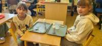 img20250529wa0028_small.jpg