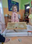 img20250516wa0018_small.jpg