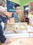 img20250516wa0019_small.jpg