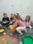 img20241108wa0006_small.jpg